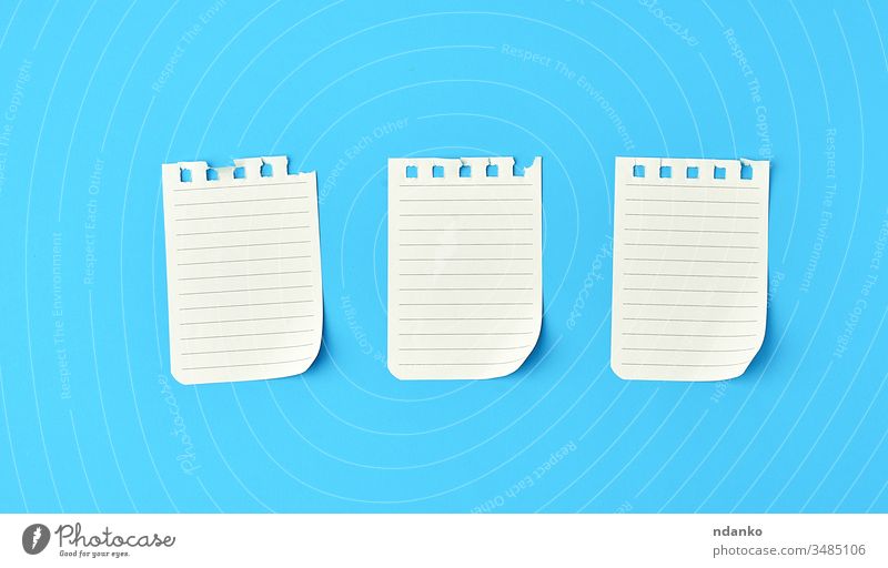 leere weiße Blätter in einer aus dem Notizblock herausgerissenen Zeile auf blauem Hintergrund oben blanko Buch Business Konzept Textfreiraum Tagebuch
