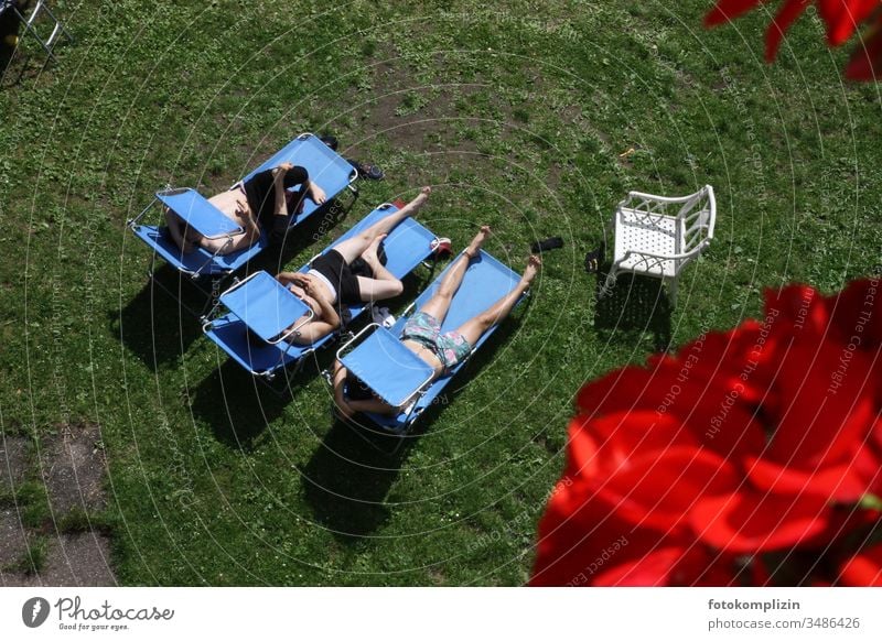 Sonnenbad: drei junge Männer auf drei blauen Liegestühlen männer chillen entspannen Erholung liegen faulenzen männlich cool Pause sonnenbaden junge erwachsene