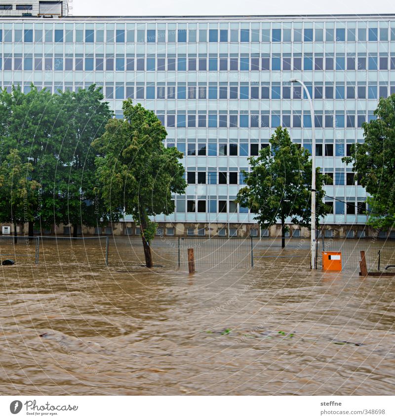 Wasserstraße Umwelt Natur Klima Klimawandel Wetter schlechtes Wetter Regen Baum Verkehr gefährlich Überschwemmung überschwemmt Hochwasser Flutwelle Farbfoto