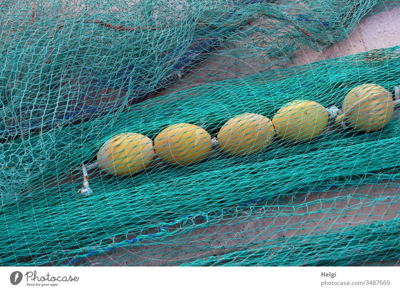 türkisfarbene Fischernetze mit gelben Schwimmkugeln liegen am Hafen Netz Netzwerk Fischerei Fischereiwirtschaft Farbfoto Außenaufnahme Tag Menschenleer