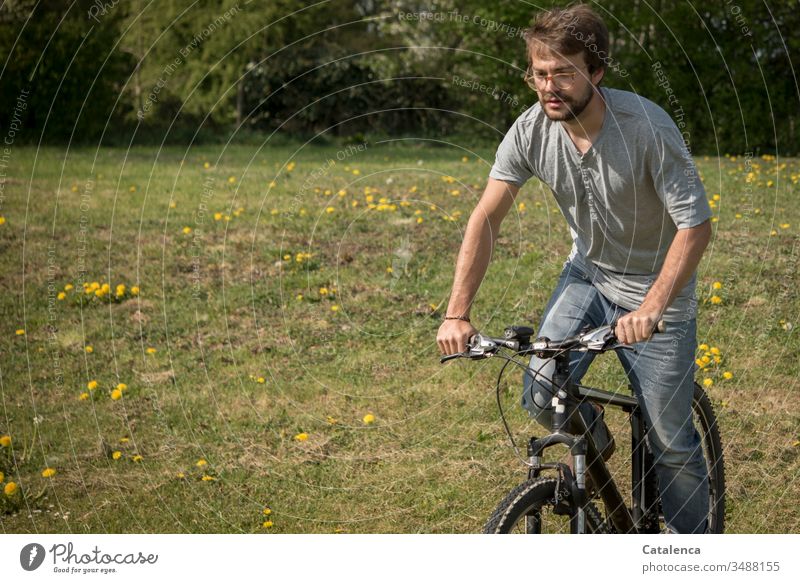Ein junger Mann  fährt mit seinem Mountainbike auf eine mit Löwenzahn gespickten Wiese maskulin Mensch 1 Fahrrad Fahrradfahren Gras Pflanze Blume Natur Grün