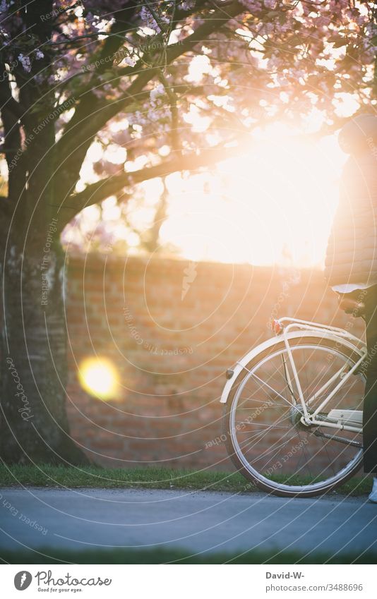 fahrradfahren durch die Natur im Sonnenuntergang Mann mit Fahrrad Fahrradfahren Fahrradtour Sonnenlicht anonym Schönes Wetter spass Freude enstpannung