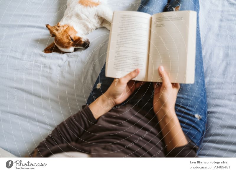 junge Frau und Hund zu Hause auf dem Bett liegend. Liebe, Zweisamkeit und Haustiere im Haus. Frau, die ein Buch liest. lesen heimwärts aussruhen schlafen
