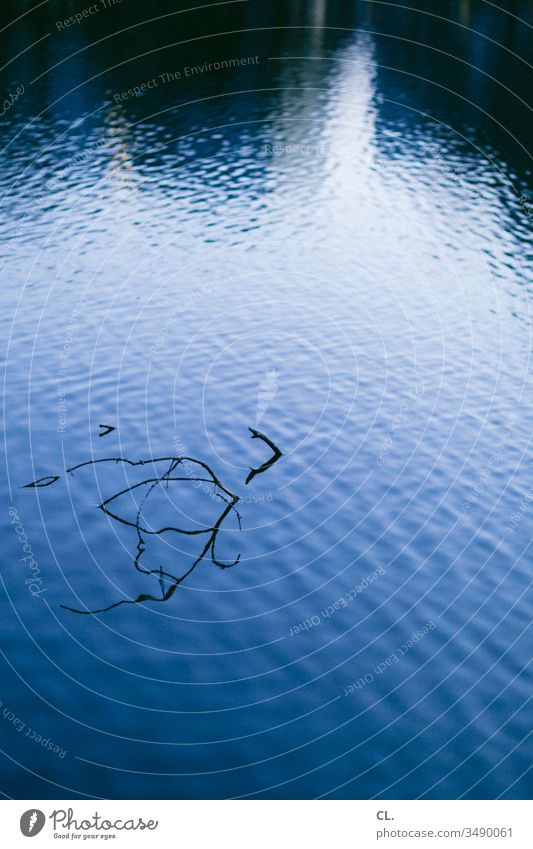 wasseroberfläche Wasser Wasseroberfläche Zweig Zweige u. Äste abstrakt See Teich Wasserspiegelung Reflexion & Spiegelung ästhetisch Menschenleer Außenaufnahme