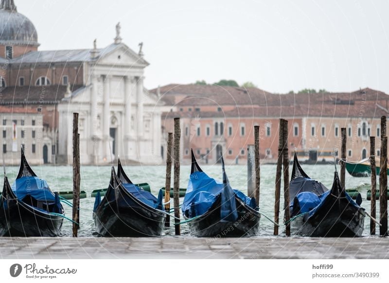 Eine Reihe von Gondeln am Canale Grande mit historischen Gebäuden im Hintergrund Gondoliere Gondolieri Venedig Italien Gondel (Boot) Canal Grande Kanal Altstadt