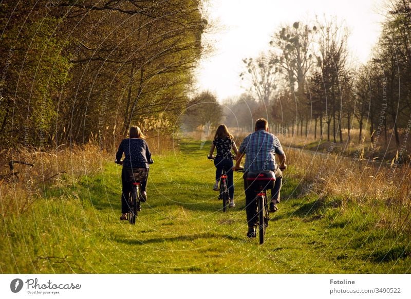 Sonntagsausflug - oder ein Vater, der mit seinen Teenagertöchtern eine Fahrradtour durch das Naturschutzgebiet Drömling macht. Fahrradfahren Außenaufnahme Tag