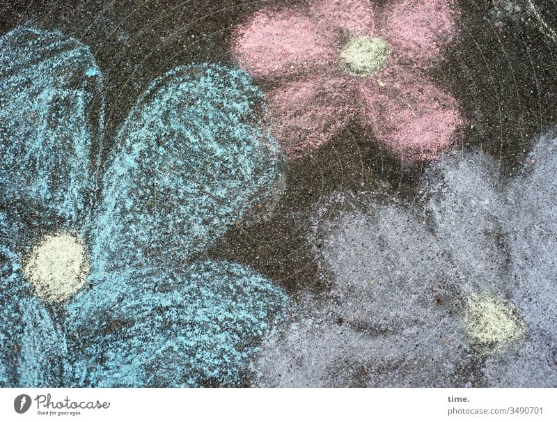 urbanes Freiluftatelier | Dreiklang blumen asphalt zeichnung kreide kinderzeichnung spielen bunt draußen straße kreidezeit blüten vogelperspektive