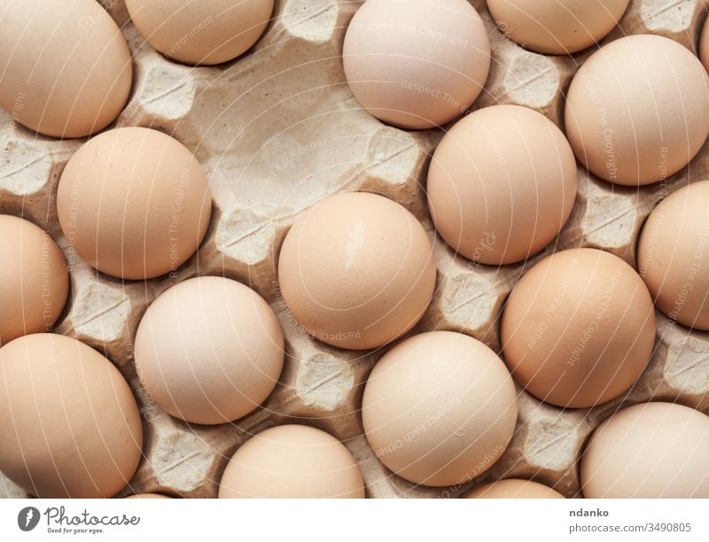 ganze runde, rohe, braune, hausgemachte Hühnereier in einem Papiertablett Tablett Ackerbau Tier Hintergrund Vogel Kasten Frühstück Schachtel Fall Hähnchen
