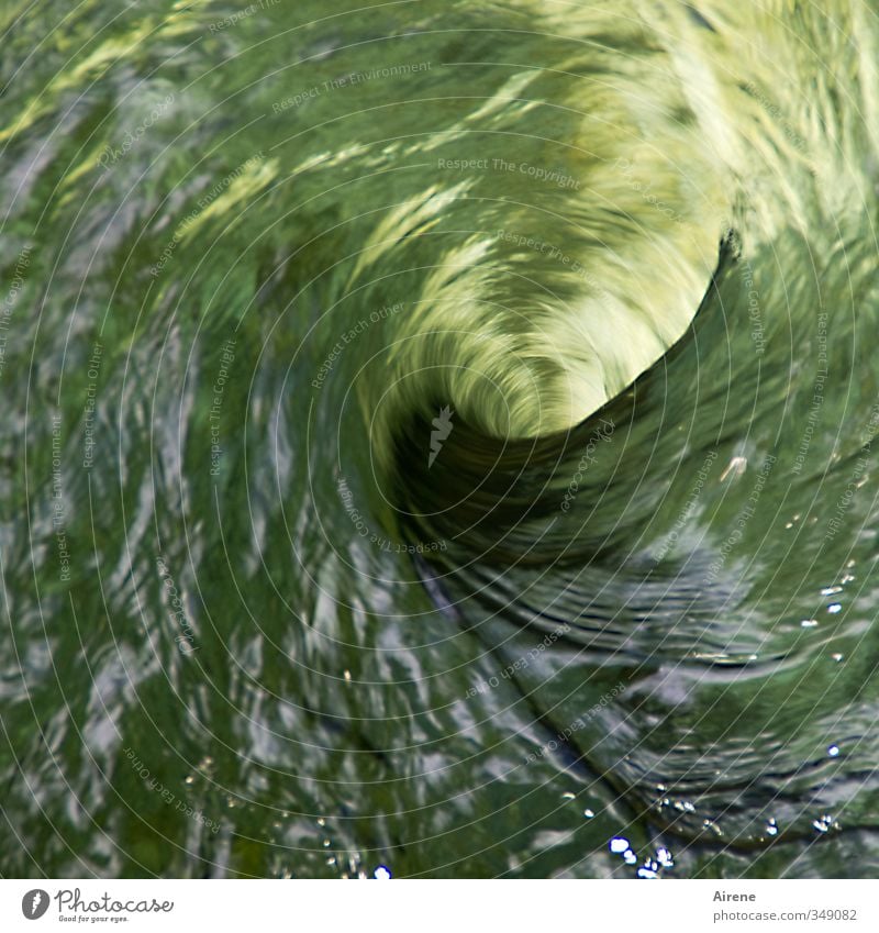 So ein Wirbel! Strudel Wasser Bach Sog Fluss Urelemente Wasserwirbel Verwirbelung Kreis Wasserkraft Spirale drehen Flüssigkeit Geschwindigkeit gold grün Kraft