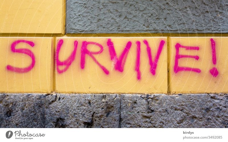 survive !, Überlebe !, gesprühter , Schriftzug in Englisch auf einer Hauswand in formatfüllender Nahaufnahme Überleben Aufforderung Mut Armut Klimawandel