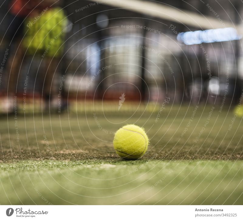 Paddle-Tennisball auf dem Platz. Defokussierter Mann im Hintergrundtraining Padel Paddeltennis Sport Klasse Training im Innenbereich Netz Ball Remmidemmi