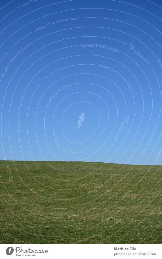 Grüne Wiese mit blauem Himmel Farbe windows Feld grün Sommer Natur Erholung Gras ruhig Langeweile Panorama (Aussicht) Starke Tiefenschärfe Licht Tag