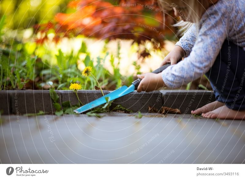Kind bei der Gartenarbeit Mädchen Unkraut ausstechend gartenwerkzeug jäten fleißig Hilfe Erziehung Kindererziehung niedlich lieblich Textfreiraum unten Boden