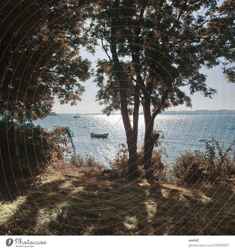 Nebensaison Landschaft Ostsee Rügen Insel Rügen Wasser Sonnenlicht Reflexion & Spiegelung Bäume Silhouette Boot Wellen Küste Ferien & Urlaub & Reisen