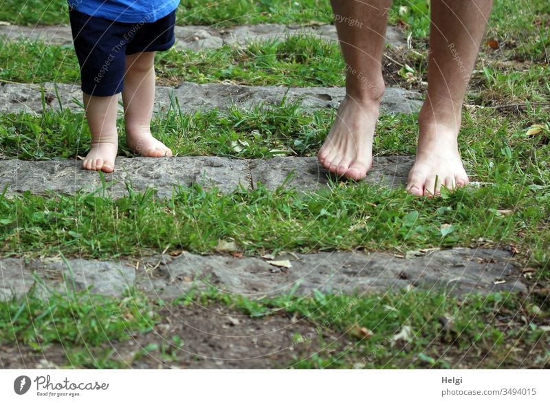 kleine Kinderfüße und große Männerfüße unterwegs auf einem Barfußpfad mit Gras und Steinen Füße barfuß laufen gehen fühlen Beine Zehen Mensch Sommer Natur Haut