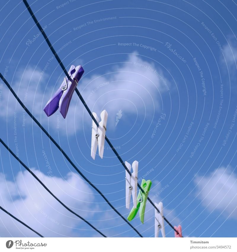 Wäscheklammern genießen das schöne Wetter Wäscheleine trocknen Kunststoff hängen Farben Himmel Wolken Menschenleer Schönes Wetter blau weiß Dänemark
