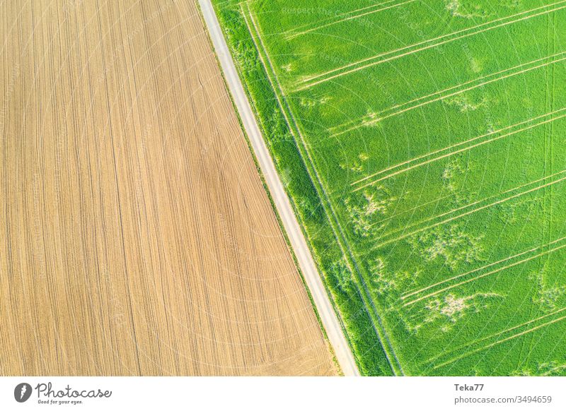 eine Agrarlandschaft von oben landwirtschaftlich Landwirtschaftlicher Weg Traktor Traktorpfad Feldhintergrund Wiesen-Hintergrund Air Luftaufnahme Textur Gras