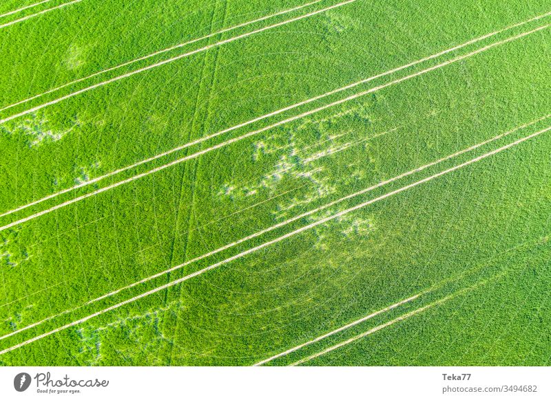 ein landwirtschaftliches Feld von oben Landwirtschaftlicher Weg Traktor Traktorpfad Feldhintergrund Wiesen-Hintergrund Air Luftaufnahme Textur Gras Bauernhof