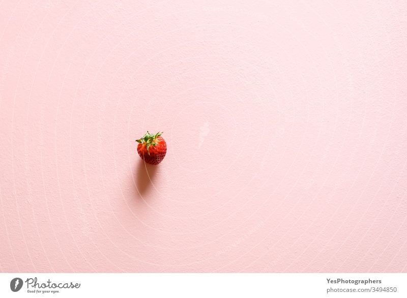 Eine einzelne Bio-Erdbeere auf einem rosa Tisch. 1 obere Ansicht Beeren Textfreiraum Entzug Diät diätetisch flache Verlegung Lebensmittel frisch frische Früchte