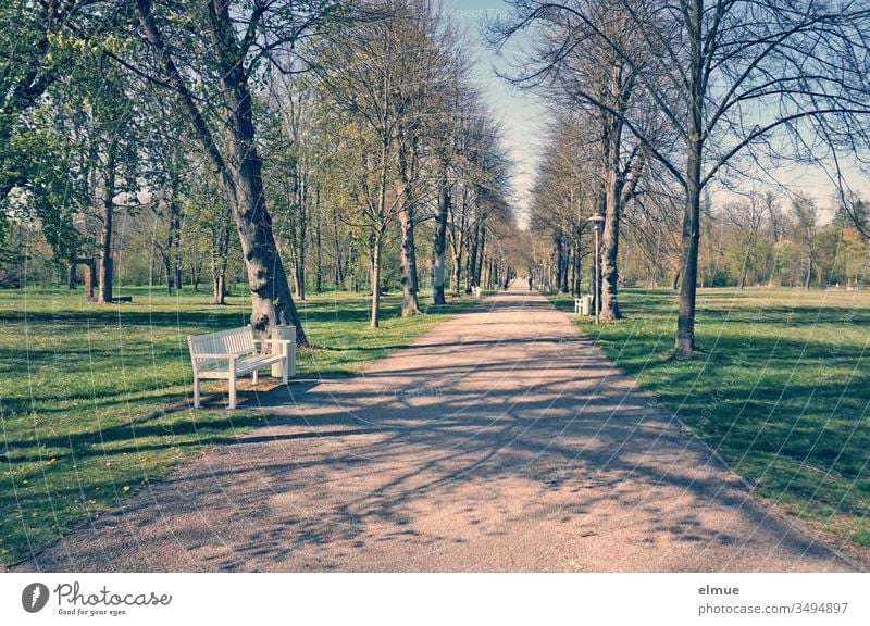 gerader Weg durch einen Park mit Bäumen, leerer Bank und kaum Menschen im Frühling Parkbank menschenleer Baum Allee Sonnenschein Schatten grün Pause Abstand