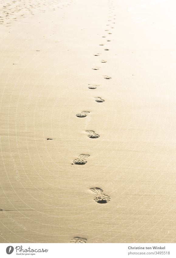 Einsame Fußspuren im Sand kommen aus der Ferne Sandstrand Einsamkeit einsam alleine Schuhabdrücke Gegenlicht Natur Menschenleer Ferien & Urlaub & Reisen Tag