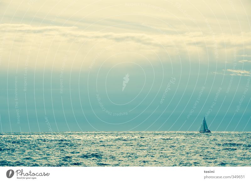 klein sein Natur Wasser Wetter Schönes Wetter Meer Schifffahrt Segelboot Segelschiff blau Segeln Wasserfahrzeug Himmel (Jenseits) Wolken Urgewalt Wellen
