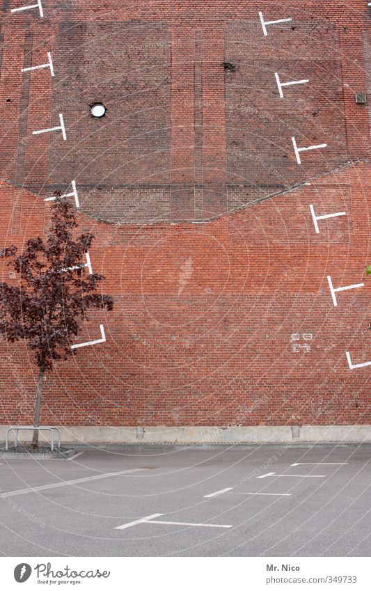 Pech für die Kuh Elsa | ..irgendwie ist da was falsch gelaufen.. Baum Stadt Hochhaus Bauwerk Gebäude Architektur Fassade Verkehrswege Ordnung skurril parken