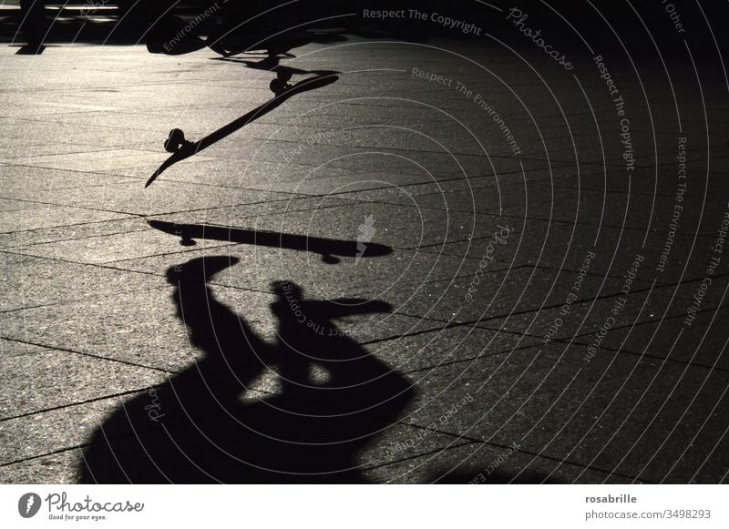 Skater beim Skateboardsprung mit seinem Schatten in abendlichem Rückenlicht | dynamisch springen in der Luft Akrobatik aktive Sport Abend Gegenlicht Sportler