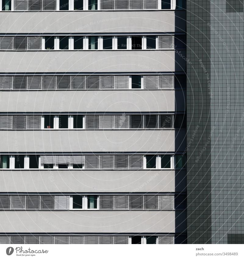 Fassade eines Hochhauses in grau Stadt Mauer Wand Tür Architektur Gebäude Linie Haus Hochhausfassade Plattenbau DDR-Architektur blau Fenster Fensterfront Berlin