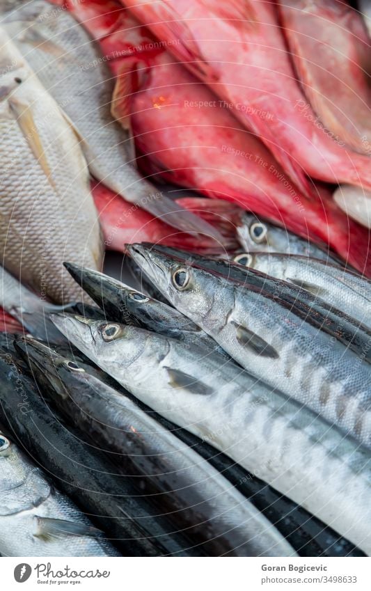 Frische Meeresfrüchte Markt roh Sale Fischen frisch Lebensmittel MEER lecker Menschengruppe Asien natürlich Inder Fischereiwirtschaft Mahlzeit Nahaufnahme Natur