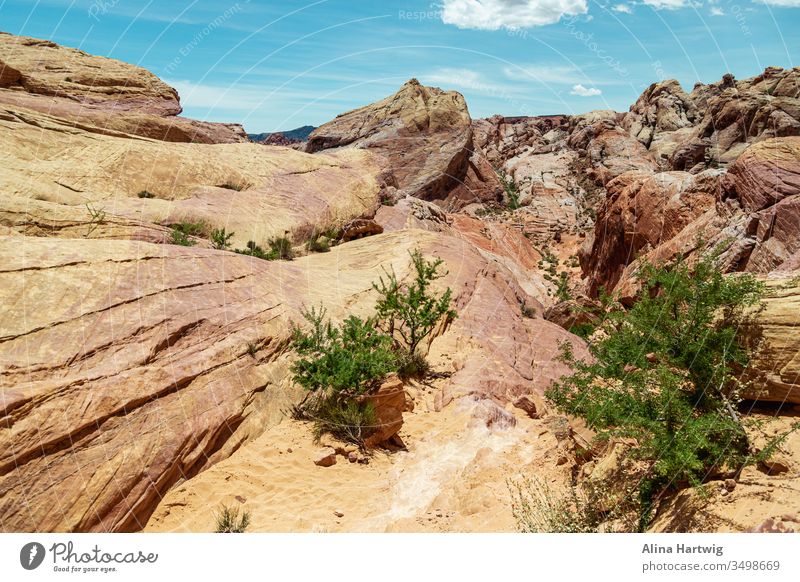 Wunderschöne Felsstruktur im Valley of Fire State Park in Nevada uns amerika Landschaft Natur natürlich reisen Welt Erde Planet sparen behüten Schutz