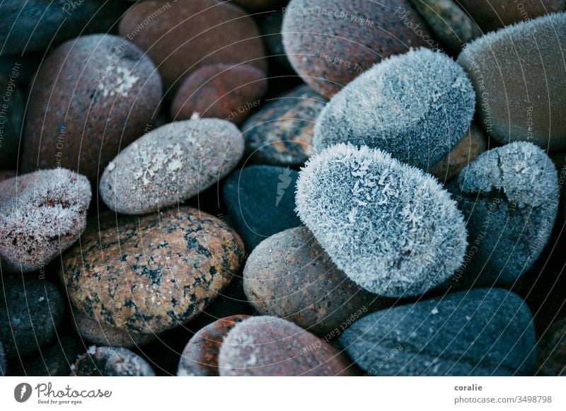 Gefrorene Steine im Winter vereist gefroren Strandgut Eis Schnee Frost kalt Kristallstrukturen Eiskristall Eisblumen frieren blau Raureif Makroaufnahme