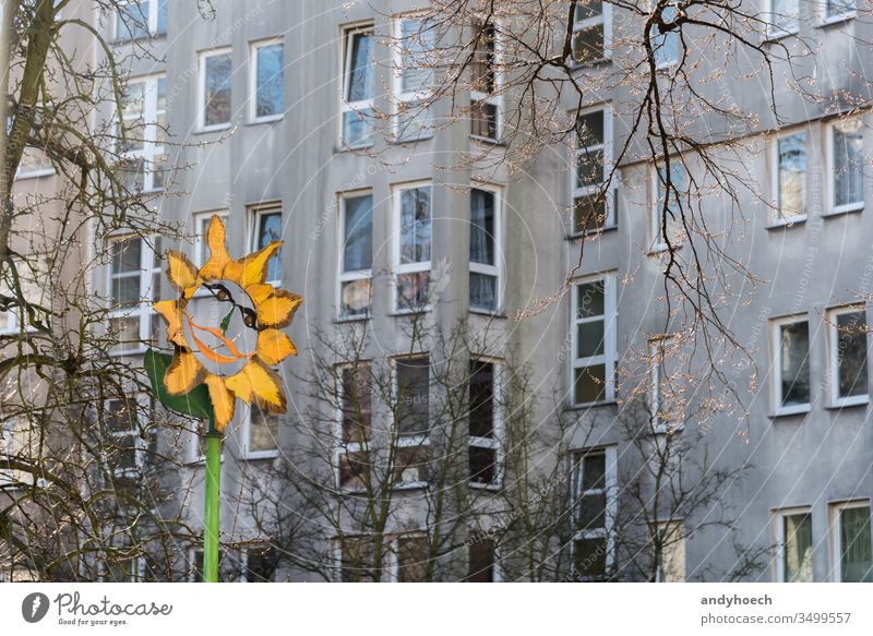 Der Farbfleck vor der grauen Fassade Appartement Architektur Hintergrund Nackter Baum Berlin Klotz Ast Gebäude Gebäudeaußenseite gebaute Struktur Großstadt