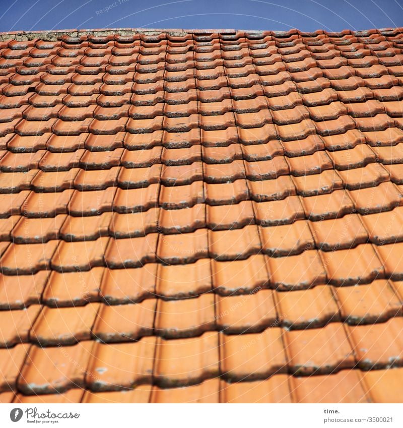 Oberstübchen dachziegel anschnitt inspiration draußen gebäude architektur rot dachpfannen struktur muster wellig wellenförmig historisch alt handwerkskunst