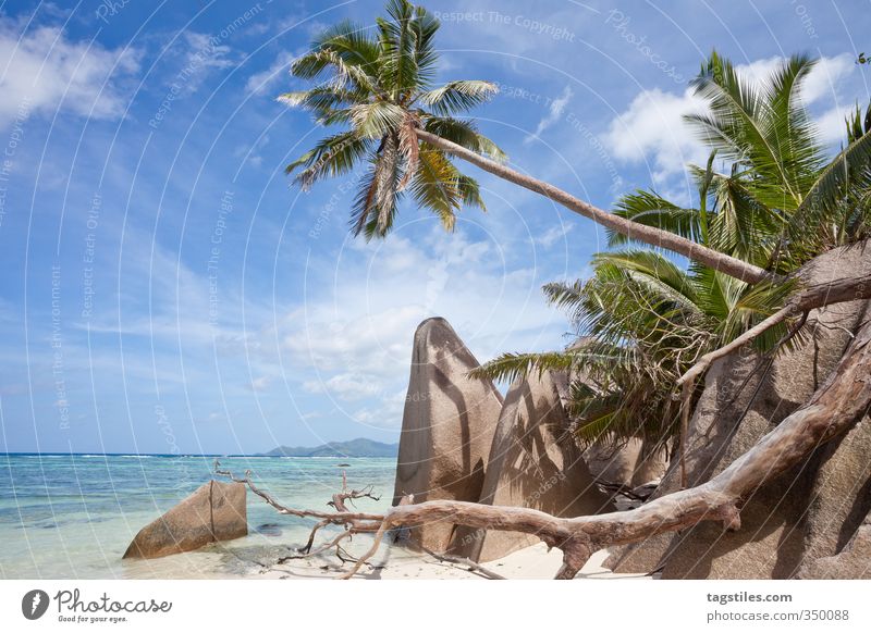 LA DIGUE, SEYCHELLES La Digue Seychellen Strand Sand Palme Meer Ferien & Urlaub & Reisen Reisefotografie Idylle Paradies himmlisch paradiesisch Afrika Granit