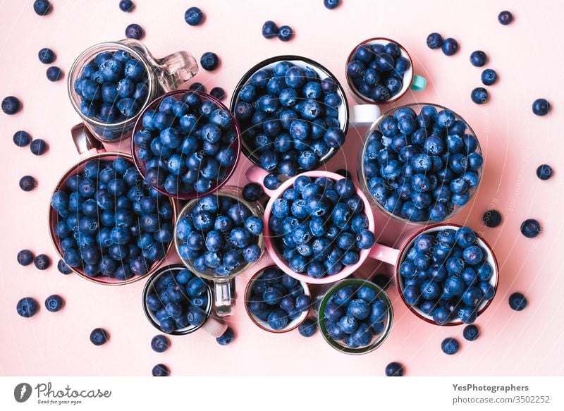 Frische Blaubeeren in Tassen von oben gesehen. obere Ansicht Überfluss Ackerbau Beeren blaue Früchte Schalen & Schüsseln farbenfroh Becher lecker Diät