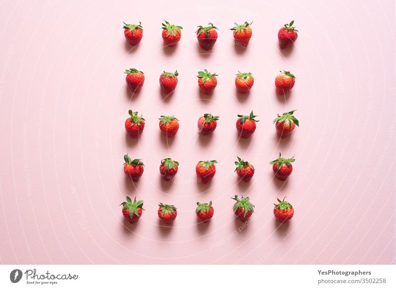Frische Erdbeeren symmetrisch ausgerichtet auf dem Tisch Ackerbau Beeren Biografie Konzept Kontrolle Gedränge Entzug Diät disziplinieren Distanzierung