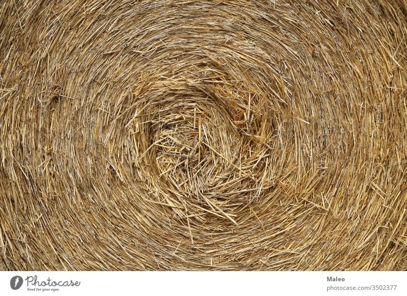Die Textur der gepressten Strohwalze in Nahaufnahme Ackerbau Hintergrund trocknen Landwirtschaft Gras Heu natürlich Natur organisch Saison Ernten Weizen