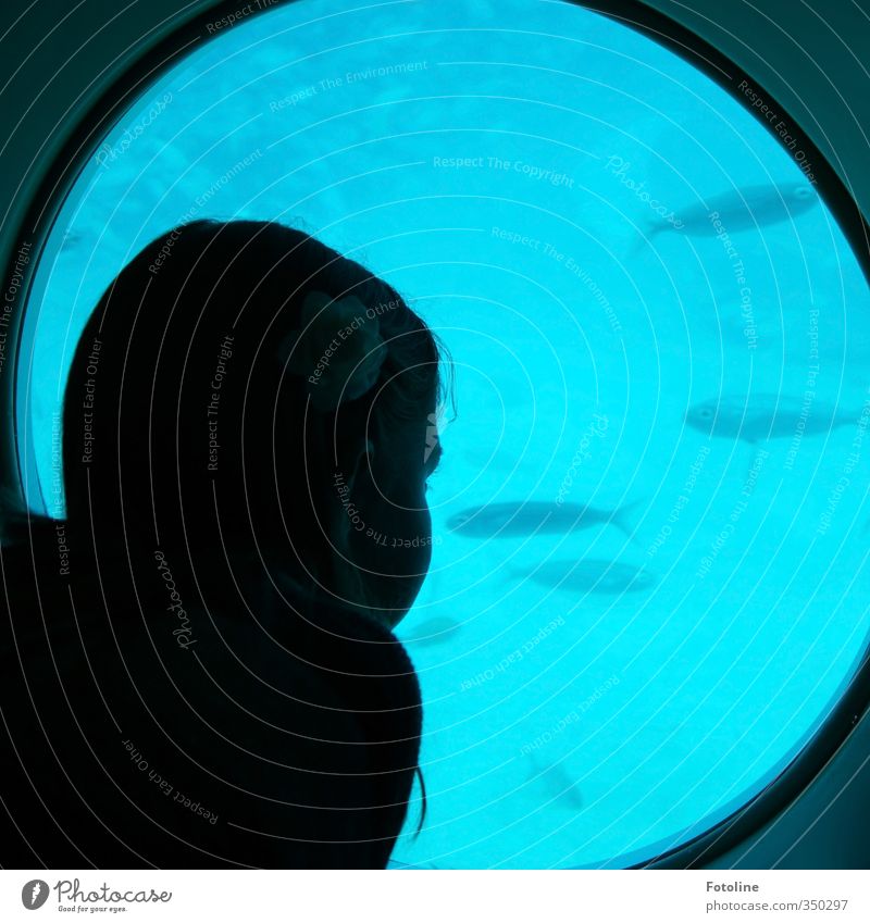 total blau | und spannend Mensch feminin Kind Mädchen Kopf Haare & Frisuren 1 Wasser Tier Fisch Schwarm kalt beobachten Bullauge U-Boot Farbfoto mehrfarbig