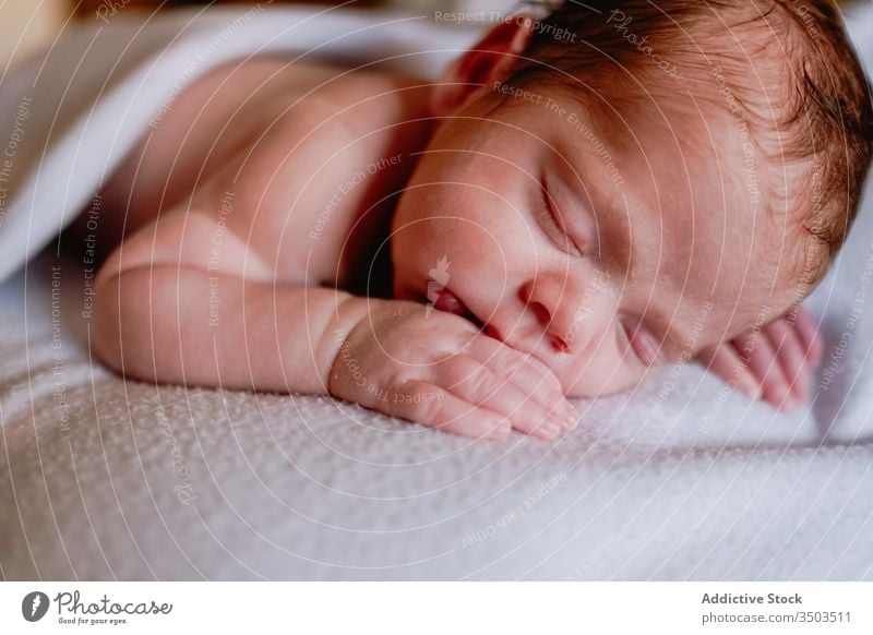Süßes Neugeborenes schläft zu Hause in einem weichen Bett neugeboren sich[Akk] entspannen Baby Kind Säugling Windstille unschuldig ruhen wenig friedlich