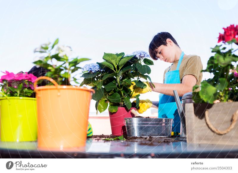 Junger Teenager trägt eine Gärtner-Schürze, während er an einem sonnigen Tag auf der Terrasse gärtnert Gartenarbeit 1 zwei schaufeln Pflege grün Blumentopf