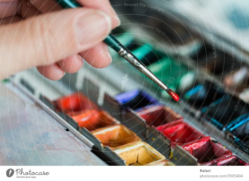 Hand hält Pinsel über Aquarellfarbe und nimmt rote Farbe auf aquarell hand mischen kunst künstler palette close up anstreichen anmalen anmischen grün bunt