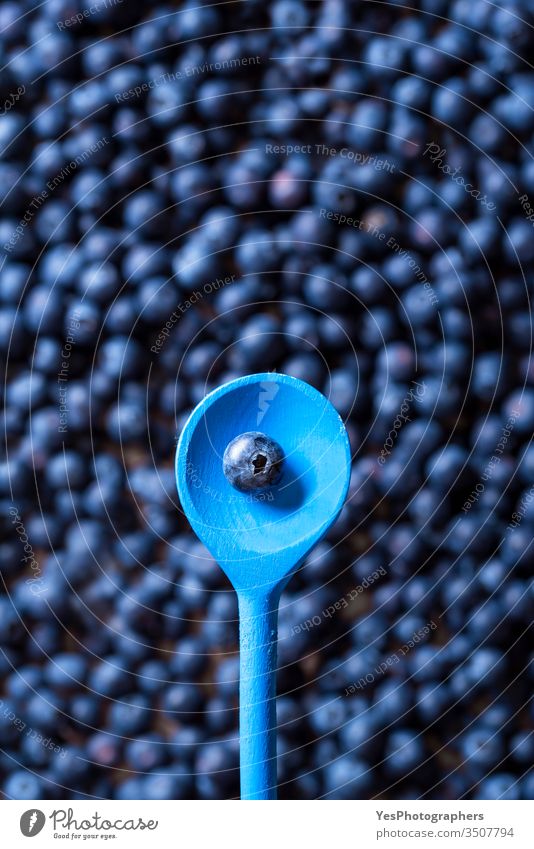 Eine Heidelbeerfrucht in einem Löffel. Reife Heidelbeeren 1 obere Ansicht Überfluss Ackerbau Hintergrund Beeren blaue Früchte Blaubeeren farbenfroh lecker Diät