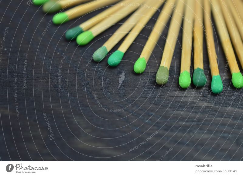 konform | Streichhölzer mit unterschiedlich grünen Köpfen auf schwarzem Holz - Untergrund Streichholz anzünden Feuer Sammlung Muster Freifläche nebeneinander
