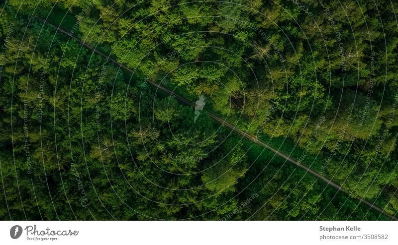 Luftaufnahme einer leeren Strasse im grünen Wald. Drohnenschuss. oben diagonal natürlich Hintergrund Landschaft Weg schön Natur im Freien Straße Sommer reisen