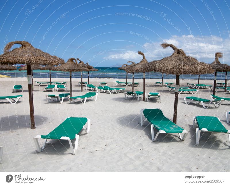 leerer Strand mit grünen Sonnenliegen und braunen Sonnenschirmen Sonnenschirmständer Ferien & Urlaub & Reisen Meer Sommer Himmel Sand blau Außenaufnahme