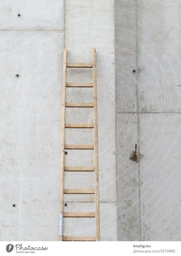 Auf einer Baustelle lehnt eine Holzleiter an einer Betonwand Leiter Sprossenleiter Wand bauen Arbeitsstelle Tag Handwerk Renovieren Außenaufnahme Farbfoto