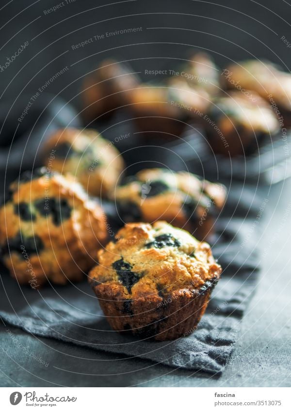 Hausgemachte Blaubeer-Muffins auf dunklem Hintergrund. kalorienarm selbstgemacht Blaubeeren niemand Draufsicht oben vertikal Lebensmittel Dessert Kuchen Snack