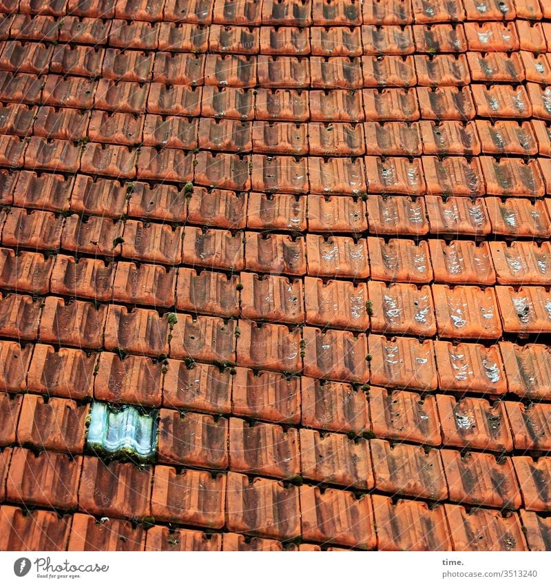 Lichtblick draußen dach gebäude inspiration anschnitt rot architektur dachziegel dachpfannen glasbaustein muster struktur wellig wellenförmig handwerkskunst alt