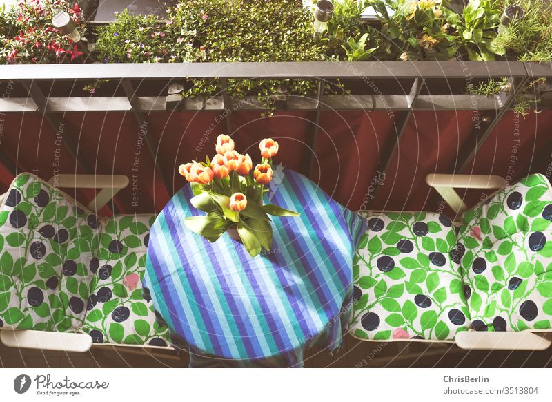 Kleiner farbenfroher Balkon mit Tisch und Stühlen in Vogelperspektive Blumenvase Korkenzieher Sommer Sonne Tulpen Frühling Blumenstrauß Menschenleer